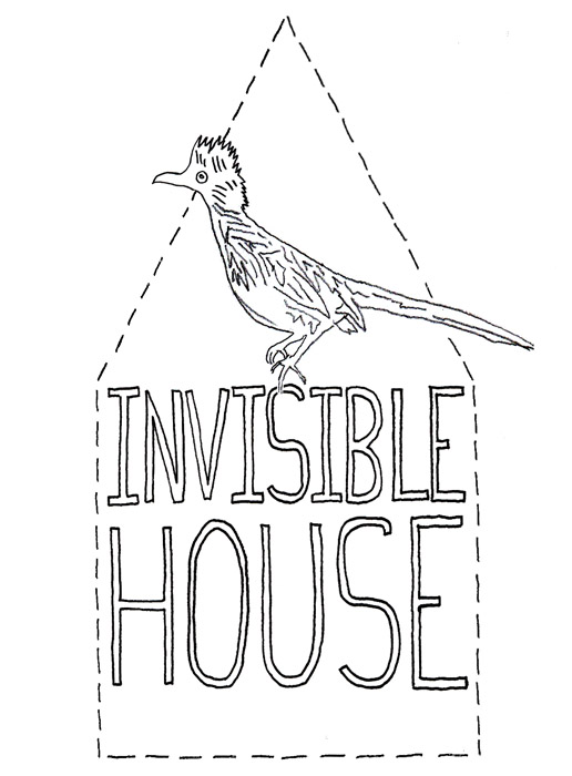 Invisible House